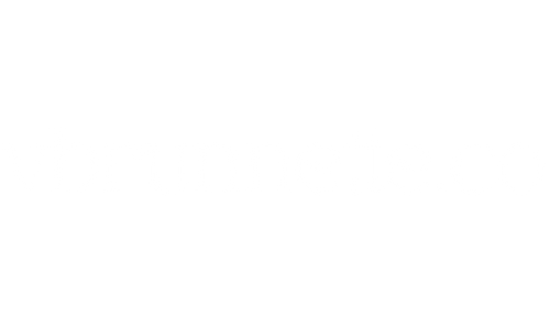 VBRUNNETTE.CO