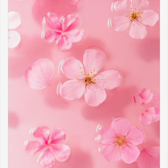 Petal Gelée I framed print: cherry blossoms floating on blush pink water