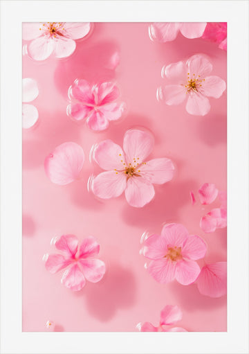 Petal Gelée I: pink cherry blossoms floating on milky rose water, white framed print