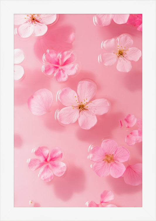 Petal Gelée I: pink cherry blossoms floating on milky rose water, white framed print