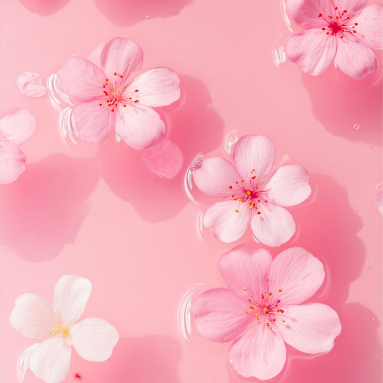 Petal Gelée II: delicate pink petals and blossoms on soft rose-colored water