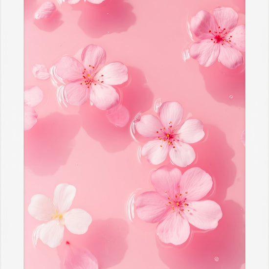 Petal Gelée II: pink and white blossoms on milky rose water, white framed print