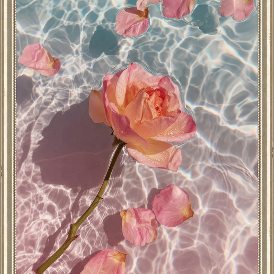 Rose in Water I: coral rose and scattered petals floating on sunlit pink and blue water, unframed print