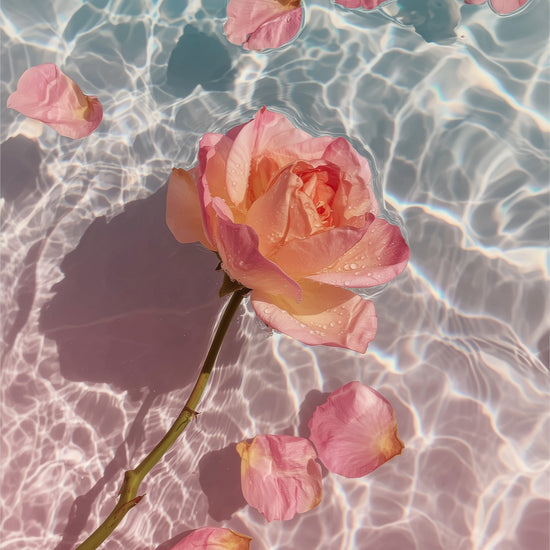 Rose in Water I detail: rose and pink petals drifting on rippling turquoise water