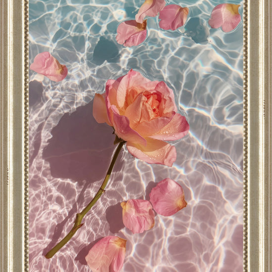 Rose in Water I: coral rose and petals on sunlit pink and blue water, framed fine art print