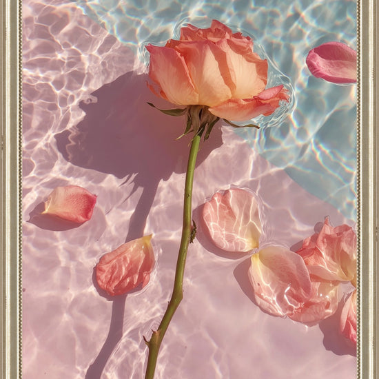 Rose in Water II framed fine art print: peach rose floating over rippling rose-pink water