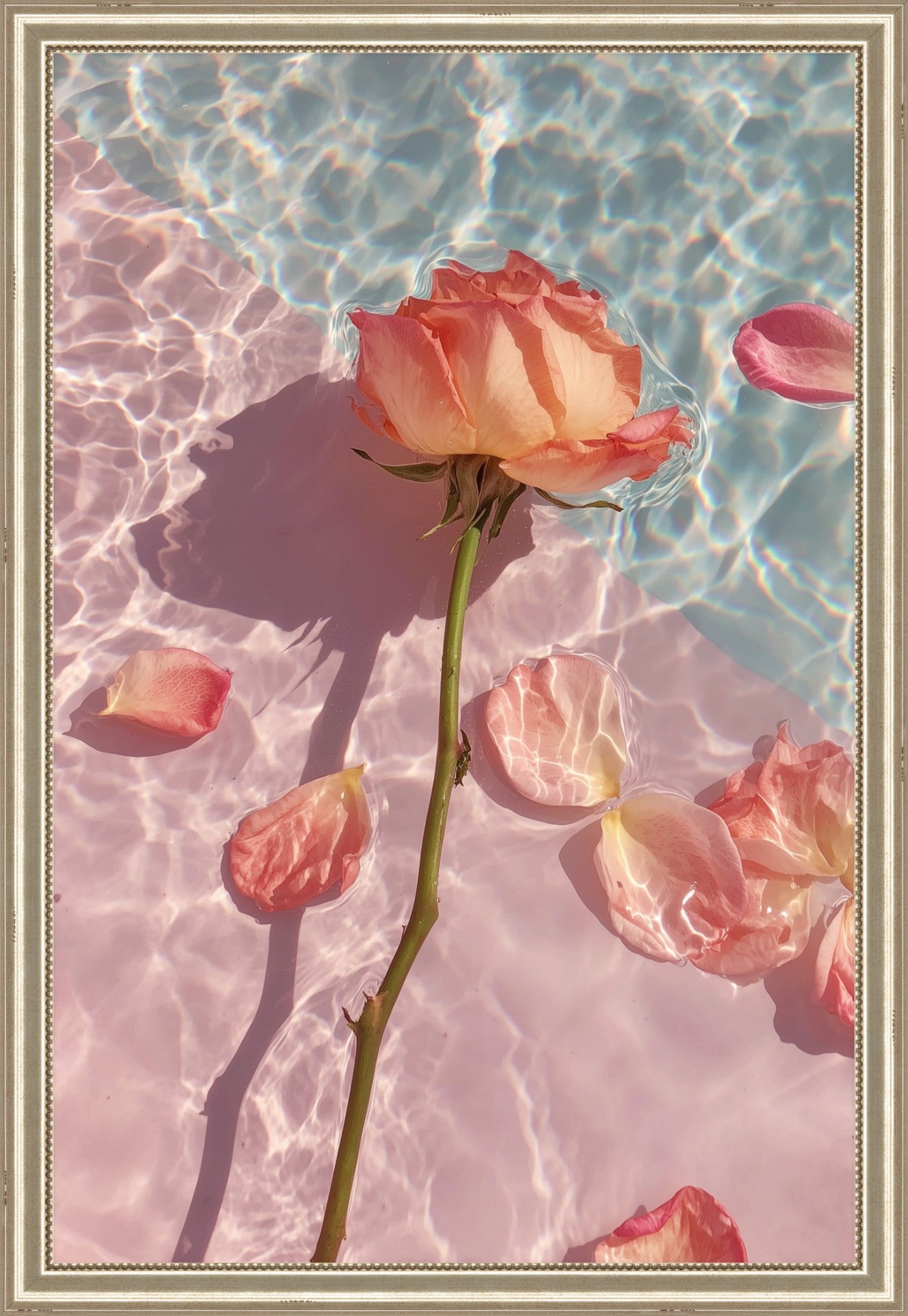 Roses